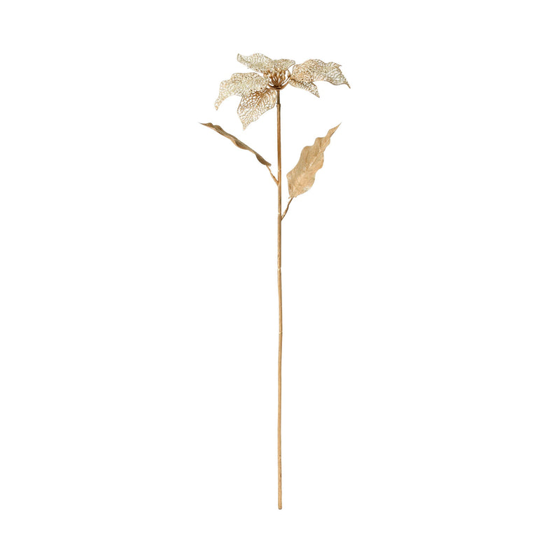 21AW ART PLANT 一品紅金色